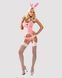 Obsessive Bunny suit L/XL &mdash; повний образ: боді з підв&rsquo;язками, вушка зайчика, панчохи-сітка